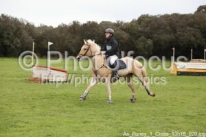 As_Poney_1_Cross_13h18_020.jpg