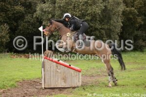 As_Poney_1_Cross_13h21_026.jpg