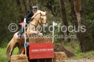 As_Poney_1_Cross_13h21_088.jpg