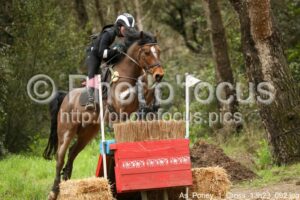 As_Poney_1_Cross_13h23_092.jpg