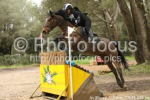 As_Poney_1_Cross_13h23_093.jpg