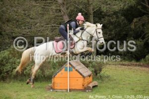 As_Poney_1_Cross_13h25_030.jpg