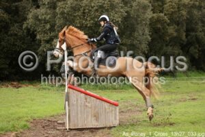 As_Poney_1_Cross_13h27_033.jpg