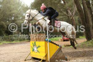 As_Poney_1_Cross_13h28_097.jpg