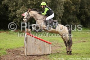 As_Poney_1_Cross_13h30_039.jpg