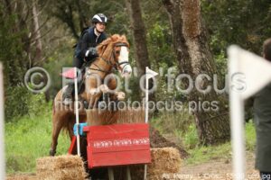 As_Poney_1_Cross_13h30_099.jpg