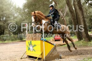 As_Poney_1_Cross_13h30_100.jpg