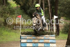 As_Poney_1_Cross_13h31_101.jpg
