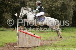 As_Poney_1_Cross_13h36_047.jpg