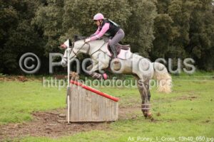 As_Poney_1_Cross_13h40_050.jpg