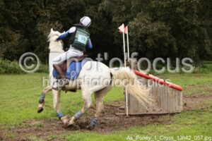 As_Poney_1_Cross_13h42_057.jpg