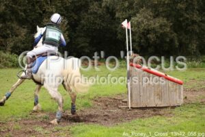 As_Poney_1_Cross_13h42_058.jpg