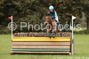 As_Poney_1_Cross_13h46_061.jpg