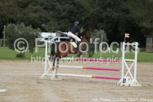 As_Poney_2_CSO_10h07_004.jpg