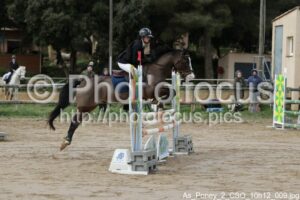 As_Poney_2_CSO_10h12_009.jpg