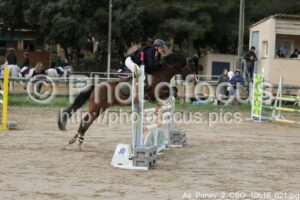 As_Poney_2_CSO_10h16_021.jpg