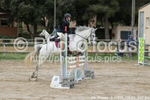 As_Poney_2_CSO_10h23_045.jpg