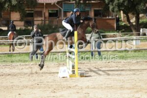 As_Poney_2_CSO_10h32_068.jpg