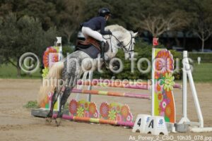 As_Poney_2_CSO_10h35_078.jpg
