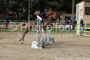 As_Poney_2_CSO_10h37_083.jpg