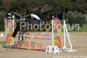 As_Poney_2_CSO_10h39_089.jpg