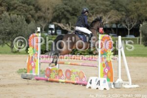 As_Poney_2_CSO_10h43_099.jpg