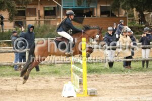 As_Poney_2_CSO_10h50_150.jpg
