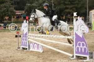 As_Poney_2_CSO_10h52_155.jpg