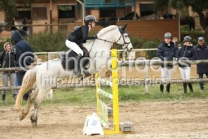 As_Poney_2_CSO_10h53_156.jpg