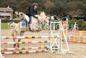 As_Poney_2_CSO_10h54_159.jpg