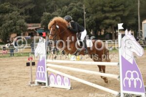 As_Poney_2_CSO_10h56_168.jpg