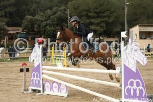 As_Poney_2_CSO_10h58_175.jpg