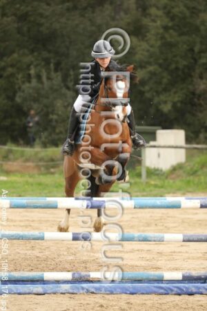 As_Poney_2_CSO_10h58_176.jpg