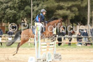 As_Poney_2_CSO_11h01_186.jpg