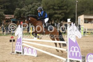 As_Poney_2_CSO_11h01_188.jpg