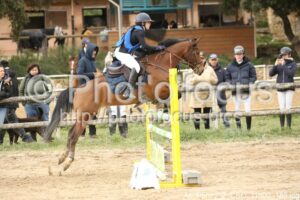 As_Poney_2_CSO_11h02_189.jpg