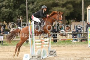 As_Poney_2_CSO_11h03_194.jpg