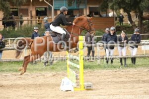 As_Poney_2_CSO_11h04_197.jpg