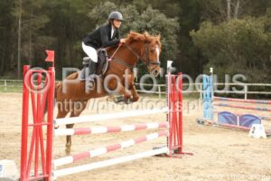 As_Poney_2_CSO_11h04_200.jpg
