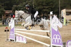 As_Poney_2_CSO_11h05_204.jpg
