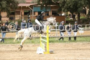 As_Poney_2_CSO_11h05_205.jpg