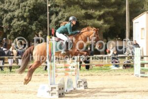 As_Poney_2_CSO_11h07_208.jpg