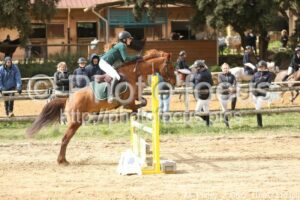 As_Poney_2_CSO_11h07_210.jpg