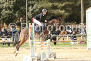 As_Poney_2_CSO_11h09_214.jpg