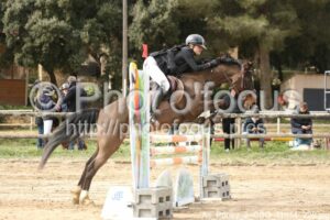 As_Poney_2_CSO_11h14_229.jpg