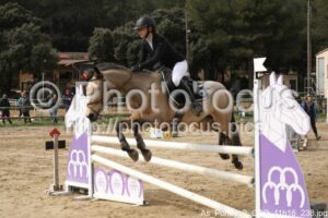 As_Poney_2_CSO_11h16_238.jpg