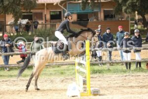 As_Poney_2_CSO_11h16_239.jpg