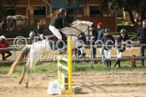 As_Poney_2_CSO_11h18_246.jpg
