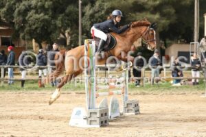 As_Poney_2_CSO_11h21_256.jpg