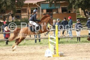 As_Poney_2_CSO_11h22_258.jpg